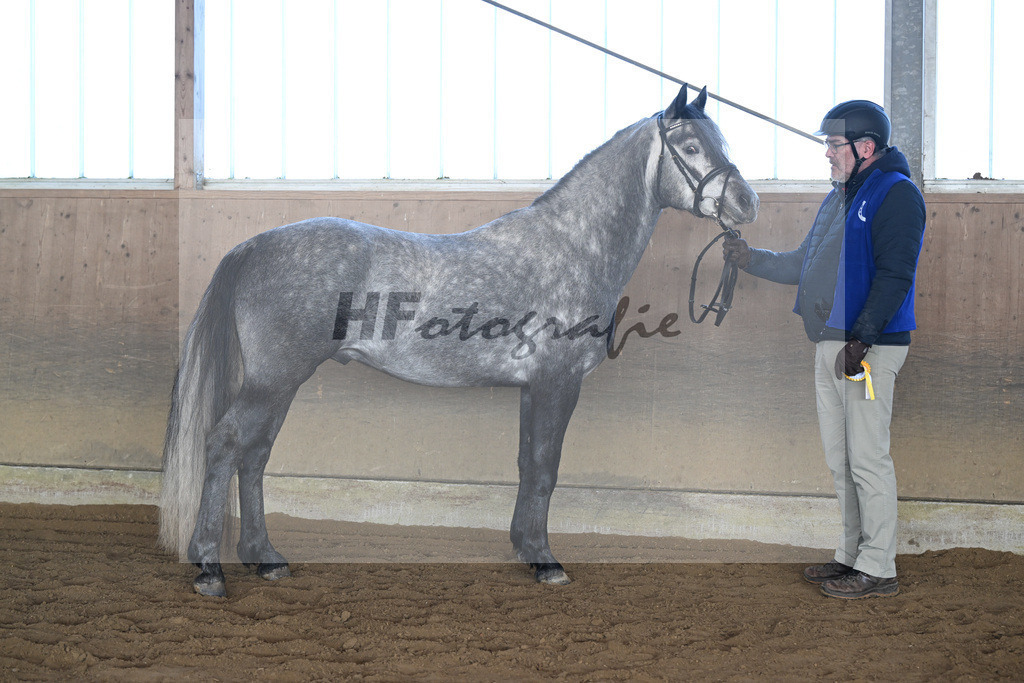 Kat-Nr. 2 Clover Hill Sparrow v. Blakehill Sparrow_ZG Lisberg_49250245 | hf-fotografie - Realisiert mit Pictrs.com