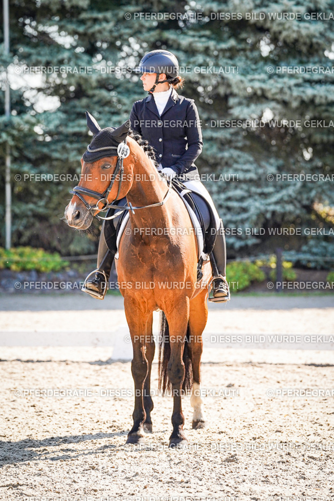 DSC00084 | Pferdegrafie