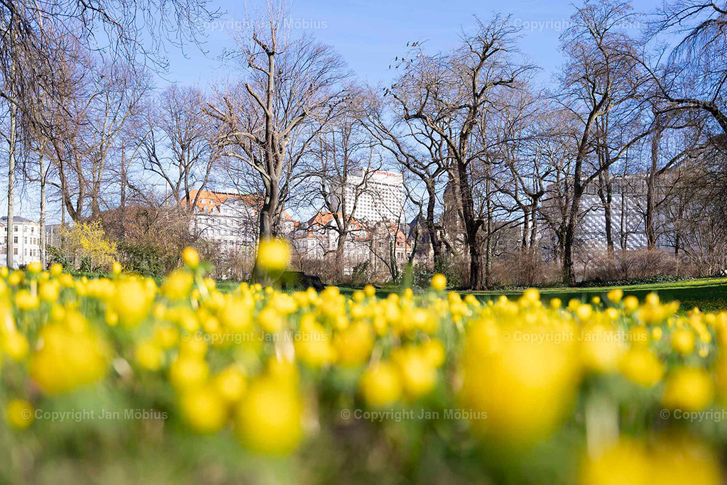 _DSC3567 | Leipzig Wandbilder Drucke Prints Leinwand Stadtmotive Leipzig Fotosdruck Kunstdrucke Bilder Leipzig Stadtansichten Acrylglasbilder Leipzig Wanddeko Fine Art Prints Wandbilder Büro Leipzig Bilder Praxis Zuhause Bilderdruck Poster Posterlounge Kunstdrucke - Realisiert mit Pictrs.com