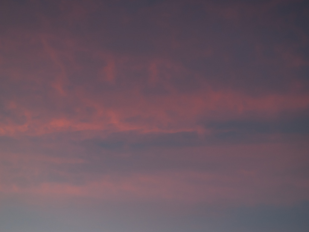 PSX_20230216_233433 | OLYMPUS DIGITAL CAMERA - Realisiert mit Pictrs.com