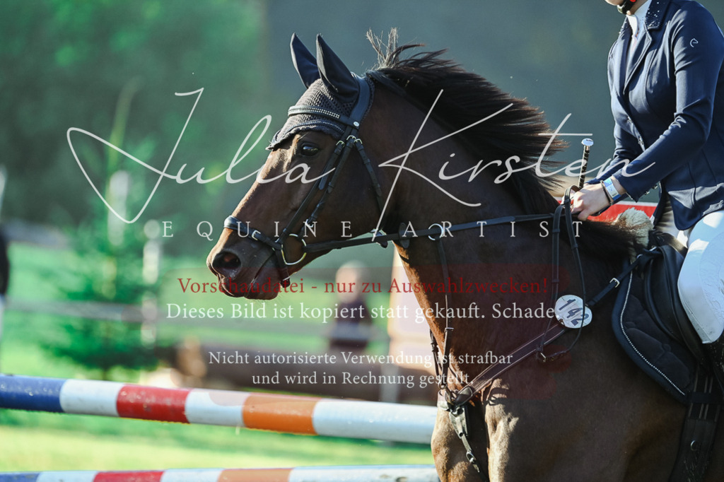 DSC_3978 | Pferde- und Turnierfotografie in Westsachsen. Pferdeportraits, Auftragszeichnungen und intuitive Kunst.