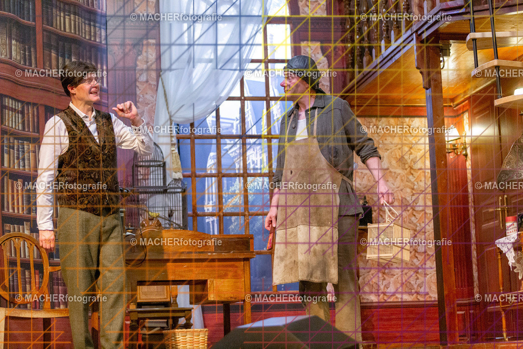 176_MFL-2025 | Portraitbilder von Regisseur; Darsteller; Techniker; Maske; Kostüme; Chor; Musiker; Bilderserie der Generalprobe und der Premierenvorstellung, Szenenbilder; Ausdrucksstudien; Bühnenüberblick; Bühnenkulissen; Pressefotos inkl. Redaktionsfoto Darstellergruppe.