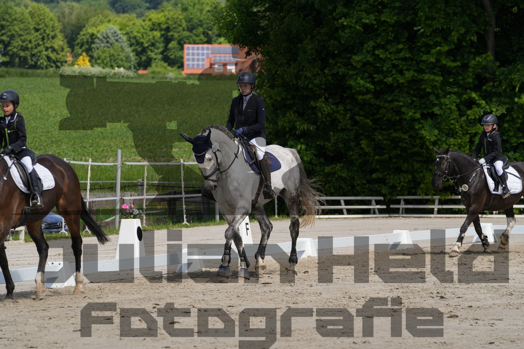 DSC03249 | Julian Held Fotografie - Realisiert mit Pictrs.com