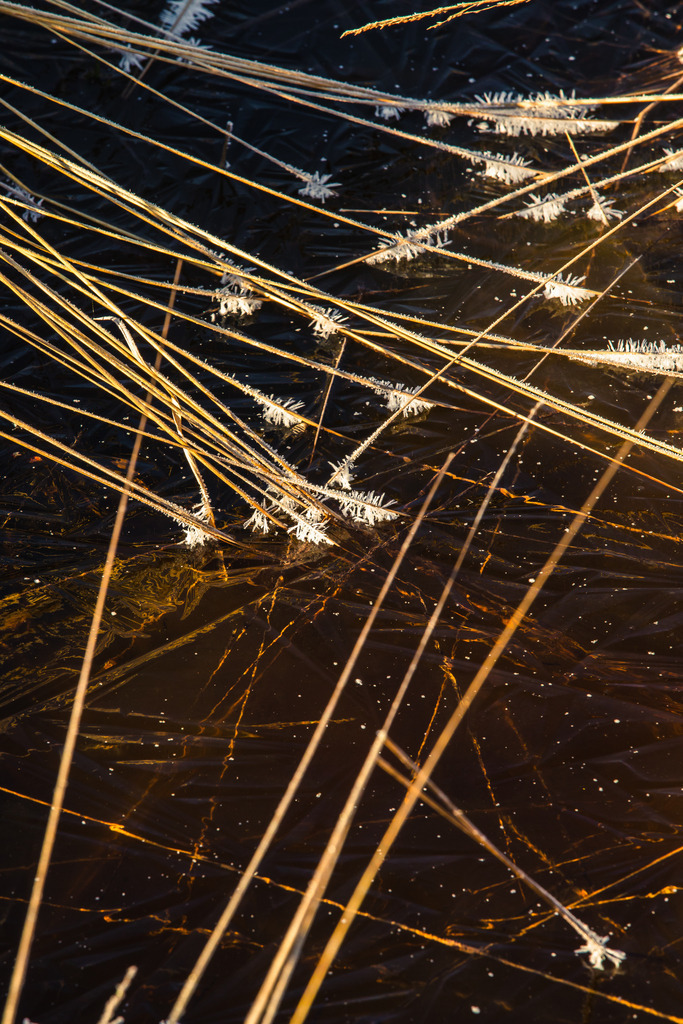 IU2A1451 | ap-design // andreas plenk - Realisiert mit Pictrs.com