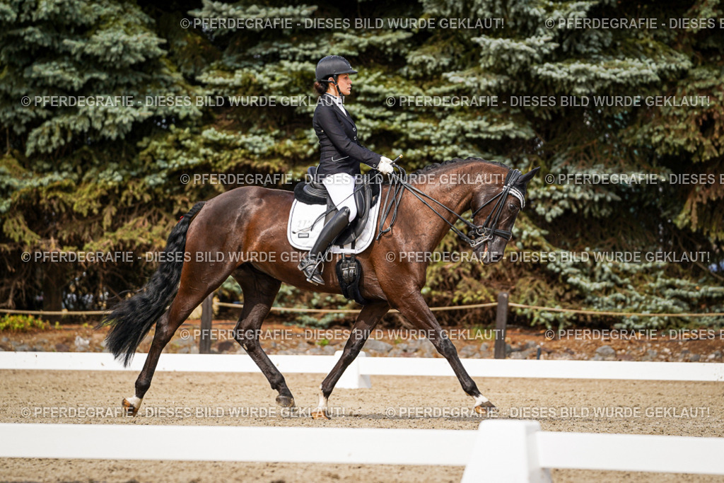 DSC06309 | Pferdegrafie