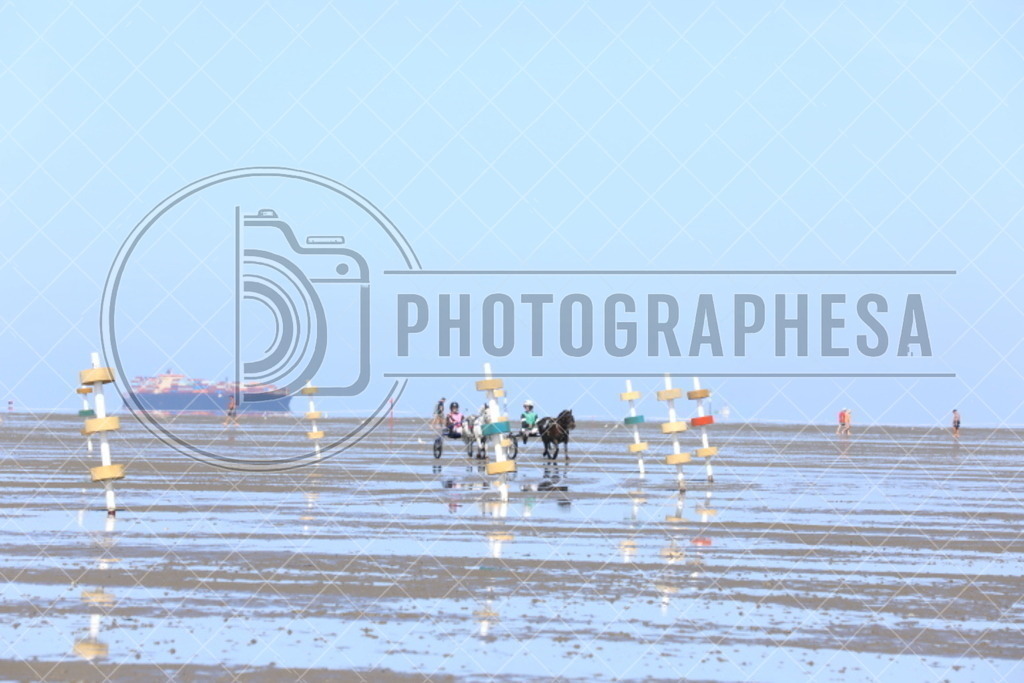 IMG_8722 | photographesa-joergens - Realisiert mit Pictrs.com