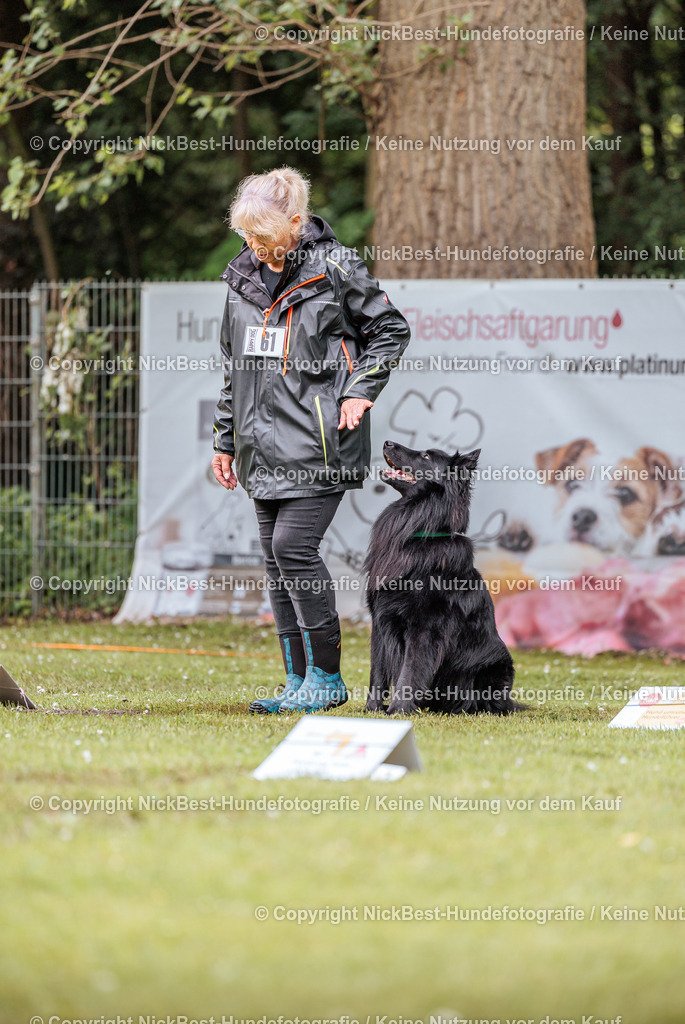 RO-Blumenthal-2026-Nickbest-Hundefotografie-1249 | Dein Hund! Dein Moment! Deine Erinnerungen! Hundefotografie in Bremen Blumenthal. Ich fange die besonderen Momente deines Vierbeiners ein – ob Indoor mit Blitzanlage oder in der freien Natur. Sicher dir dein Moment und dein Termin für eure Erinnerungen.