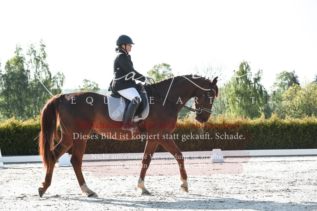20230518_JK-Röhrsdorf-09-0499 | Pferde- und Turnierfotografie in Westsachsen. Pferdeportraits, Auftragszeichnungen und intuitive Kunst.