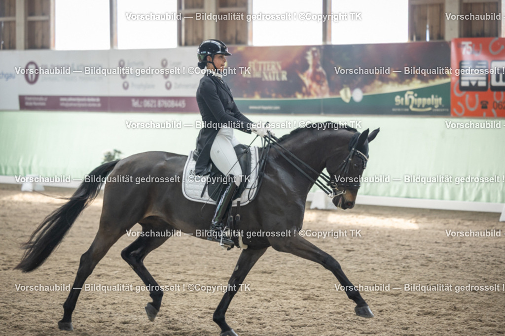 _D5A4733 | Emotionale Pferde- & People-Fotografie rund um Heidelberg, Leimen & Umgebung. Natürliche Fotos von Pferd, Mensch & Familie. Jetzt Termin sichern!