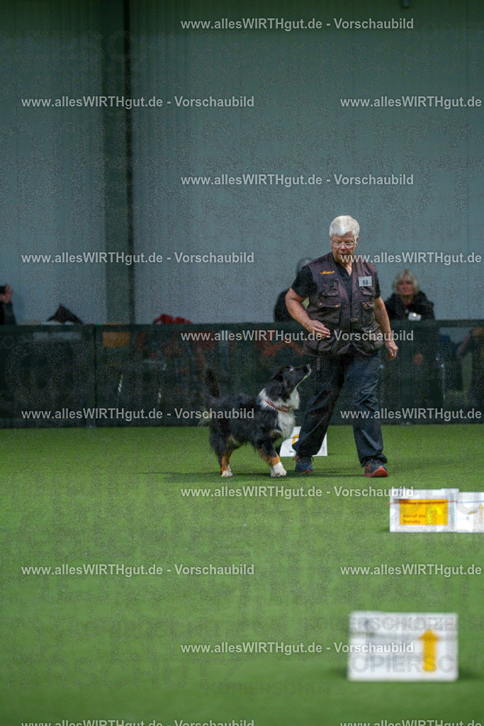 7R507085 | Professionelle Tierfotografie in Mönchengladbach von Daniel Wirth (allesWIRTHgut). Liebevolle & natürliche Bilder von Hunden & Katzen für unvergessliche Erinnerungen.