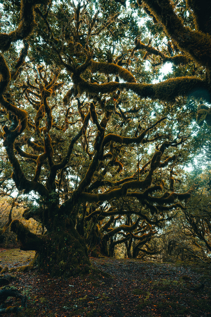 DSC05471 (4) | <meta name="keywords" content="Bergbilder, Hochzeitsfotografie, Actionshootings, Fotografiearbeiten, Berglandschaften, Naturfotografie">

 - Realisiert mit Pictrs.com