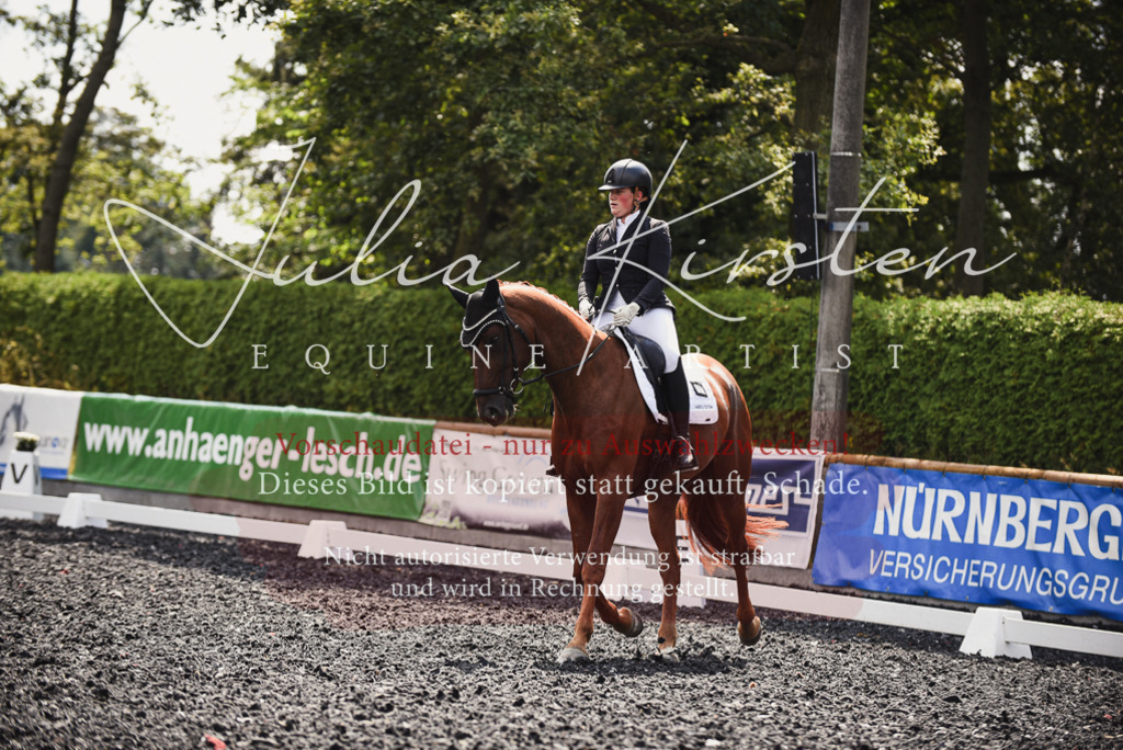 DSC_4187 | Pferde- und Turnierfotografie in Westsachsen. Pferdeportraits, Auftragszeichnungen und intuitive Kunst.