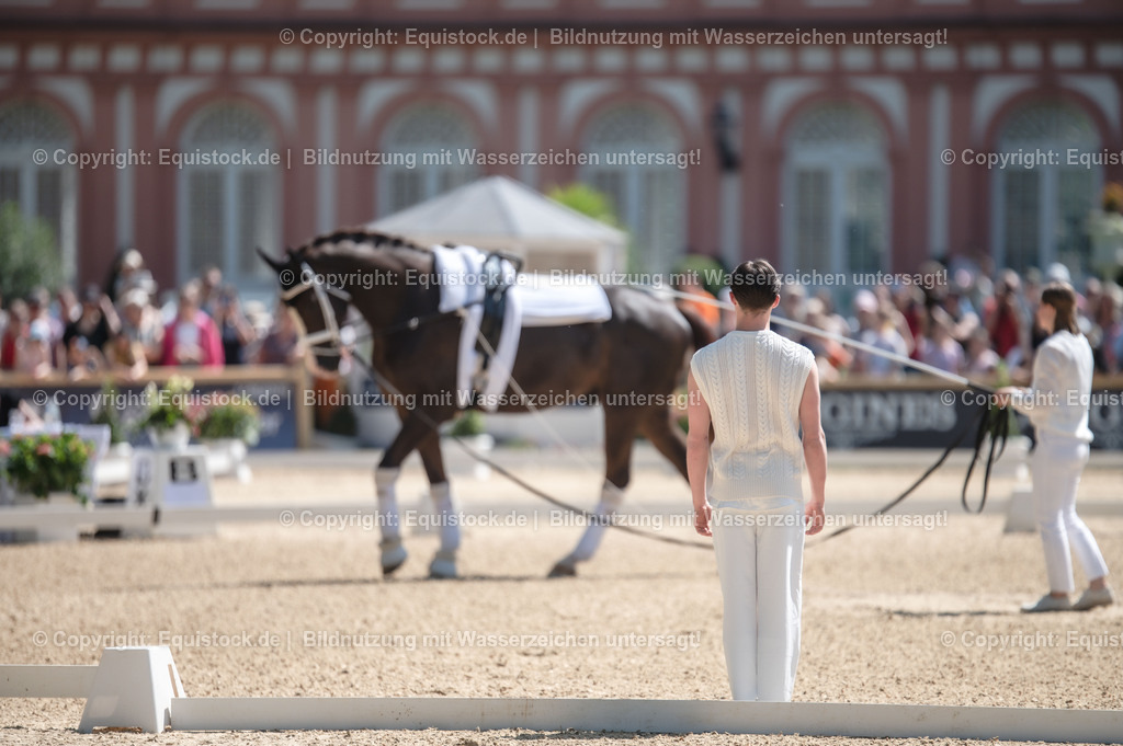 20230528_Voltigieren_NASPA_0056 | equistock