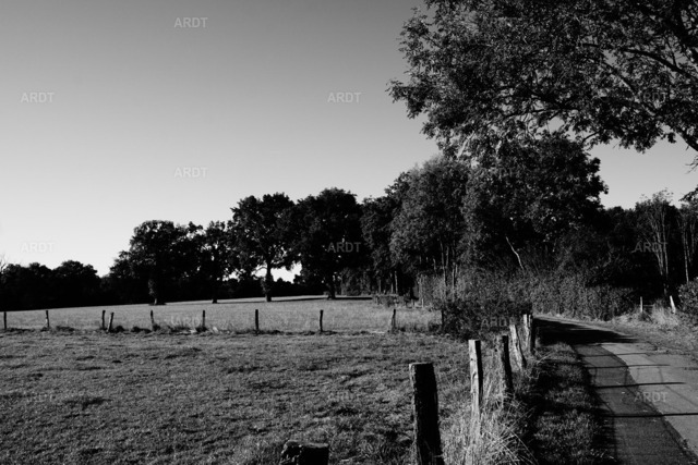 Landschaft und Natur ohne Farbe 23 | ARDT Foto Kunst