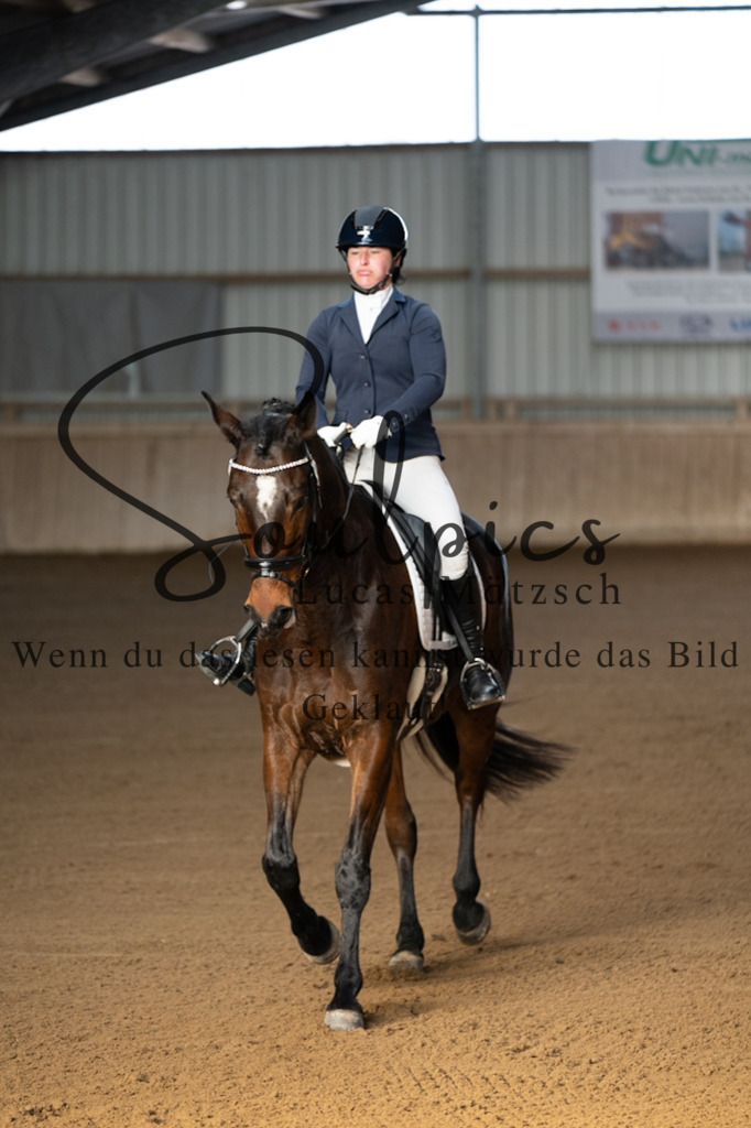 A7V05585 | Pferdefotograf