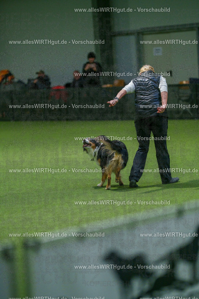 7R507573 | Professionelle Tierfotografie in Mönchengladbach von Daniel Wirth (allesWIRTHgut). Liebevolle & natürliche Bilder von Hunden & Katzen für unvergessliche Erinnerungen.