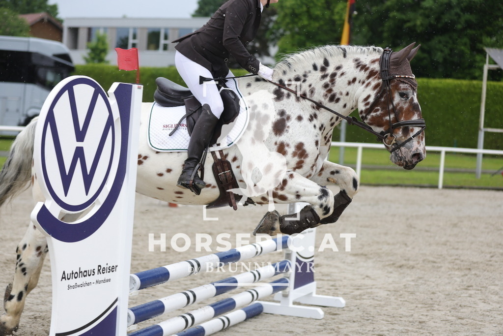 0P6A7851 | Willkommen bei Brunnmayr - Design & Fotografie – Ihrem Spezialisten für Reitturniere und Pferdeveranstaltungen in Oberösterreich, Salzburg und Bayern! Seit über 17 Jahren sind wir leidenschaftlich dabei.