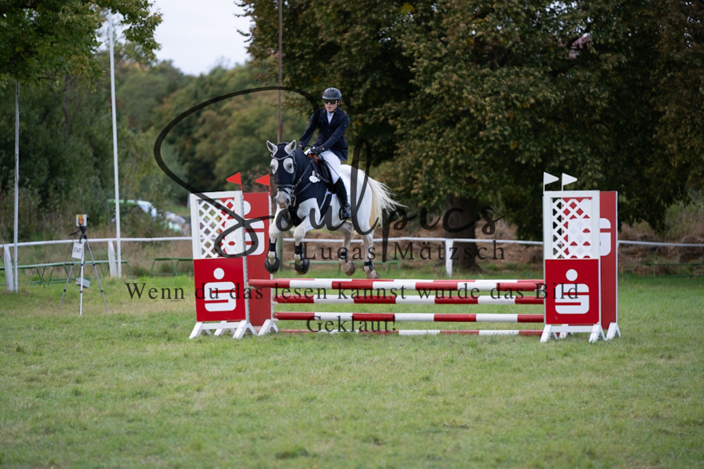 A7V06425 | Pferdefotograf