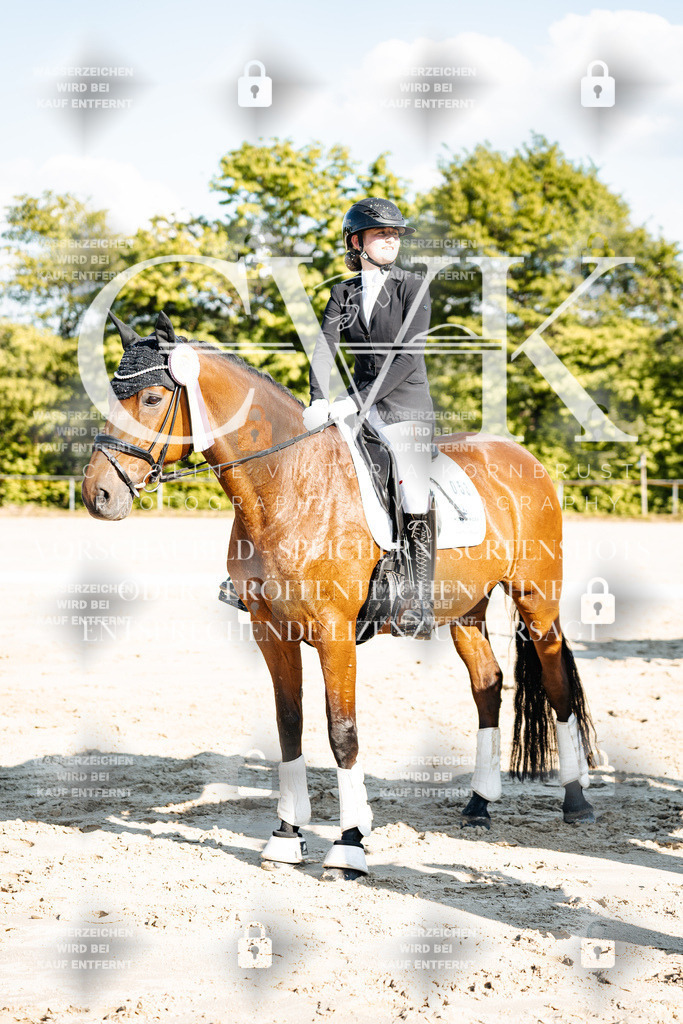 CK703579 | Turnierfotografie Pferdefotografie Trier Rheinland-Pfalz Pferdesport Reitsport Tierfotografie Sportfotografie Pferdevideo Pferdevideografie Equestrianvideography equestrianphotography  - Realisiert mit Pictrs.com