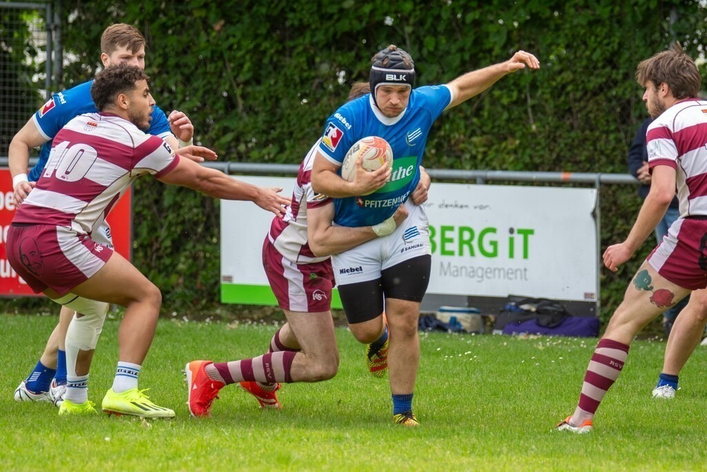 Rugby 1. Bundesliga Süd/West, Saison 2024/25, 14. Spieltag: SC Neuenheim gegen RSV Köln | Rugby 1. Bundesliga Süd/West, Saison 2024/25, 14. Spieltag: SC Neuenheim gegen RSV Köln - Realisiert mit Pictrs.com