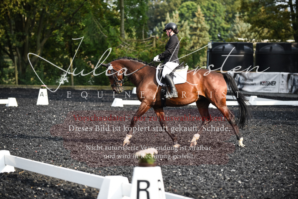 DSC_3347 | Pferde- und Turnierfotografie in Westsachsen. Pferdeportraits, Auftragszeichnungen und intuitive Kunst.
