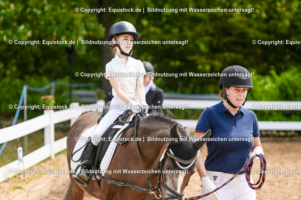 20230716_11_Führzügel-WB_0175 | equistock