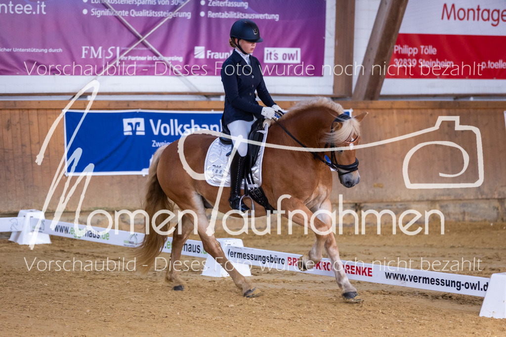 Sth-A-Dre-1St-090 | MomenTaufnahmen Pferdesportfotos