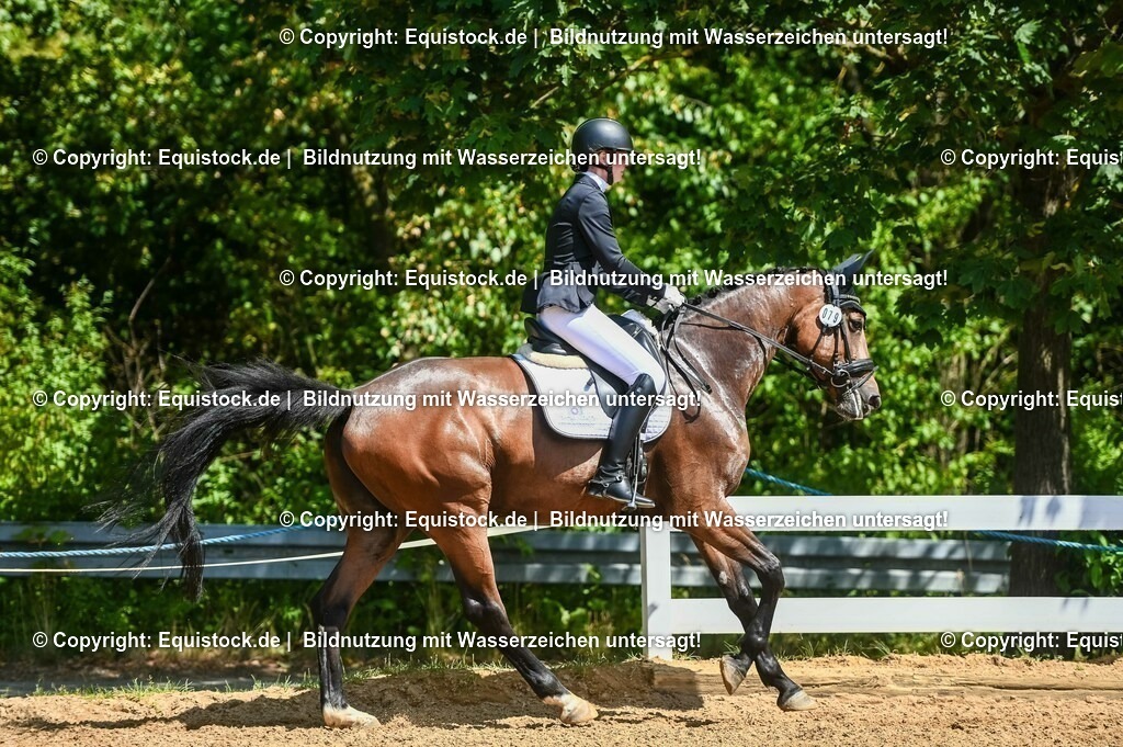 20230715_02_Dressurreiterprüfung Kl.L_0096 | equistock