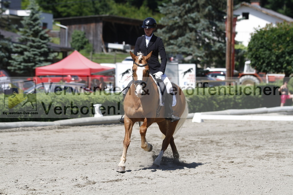 _MG_4137 | equestrian-live-com