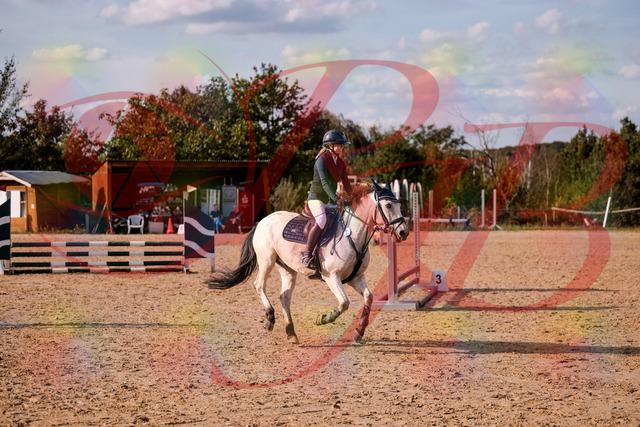 2026_10_03_Siefer-Hof_154523_Z81_64070473 | Professionelle Reitsport-, Turnier- und Eventfotografie von Robert Broda. Galerien mit ausgewählten und bearbeiteten Bildern direkt online ansehen und bestellen.