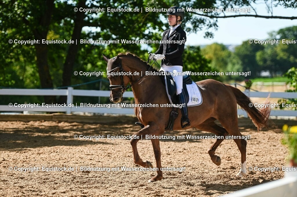20230715_06_Dressurpferdeprfg. Kl.A_0428 | equistock