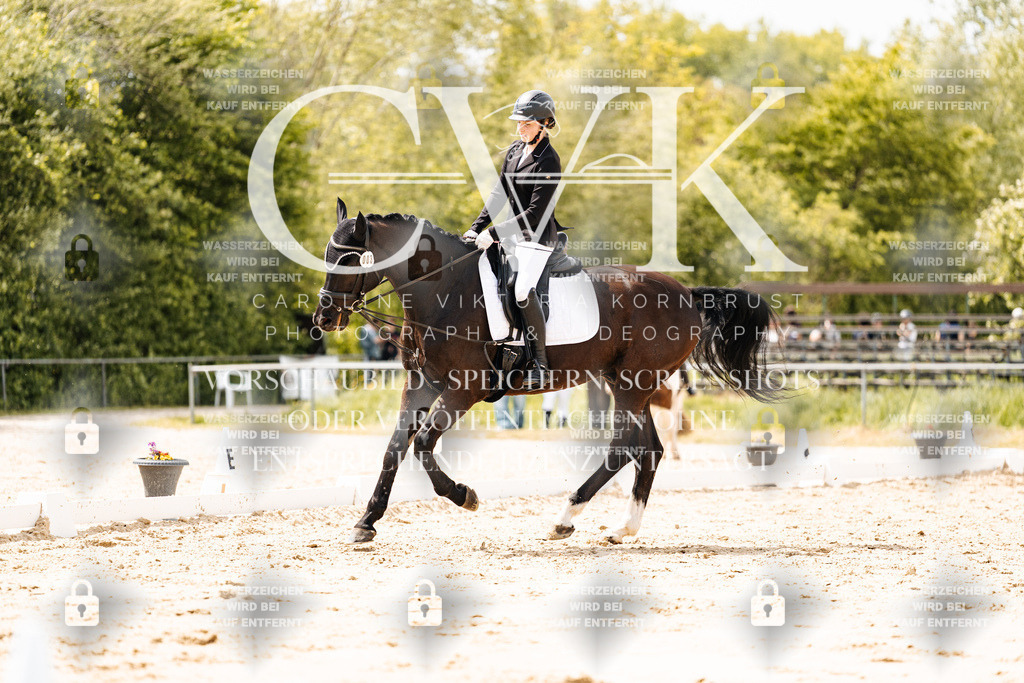 CK902102 | Turnierfotografie Pferdefotografie Trier Rheinland-Pfalz Pferdesport Reitsport Tierfotografie Sportfotografie Pferdevideo Pferdevideografie Equestrianvideography equestrianphotography  - Realisiert mit Pictrs.com