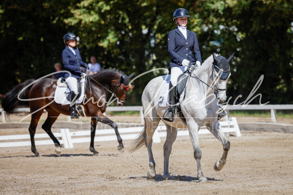 20250906-_3LI4278 | Tierfotografie Pferde, Hunde, Katzen, Haustiere.
Turnierfotografie Reitturniere, Reiten, Springreiten, Dressur in Hanau, dem Main-Kinzig-Kreis und dem Rhein-Main- Gebiet um Frankfurt