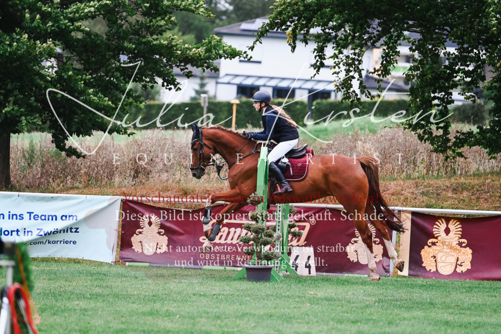 DSC_5908 | Pferde- und Turnierfotografie in Westsachsen. Pferdeportraits, Auftragszeichnungen und intuitive Kunst.