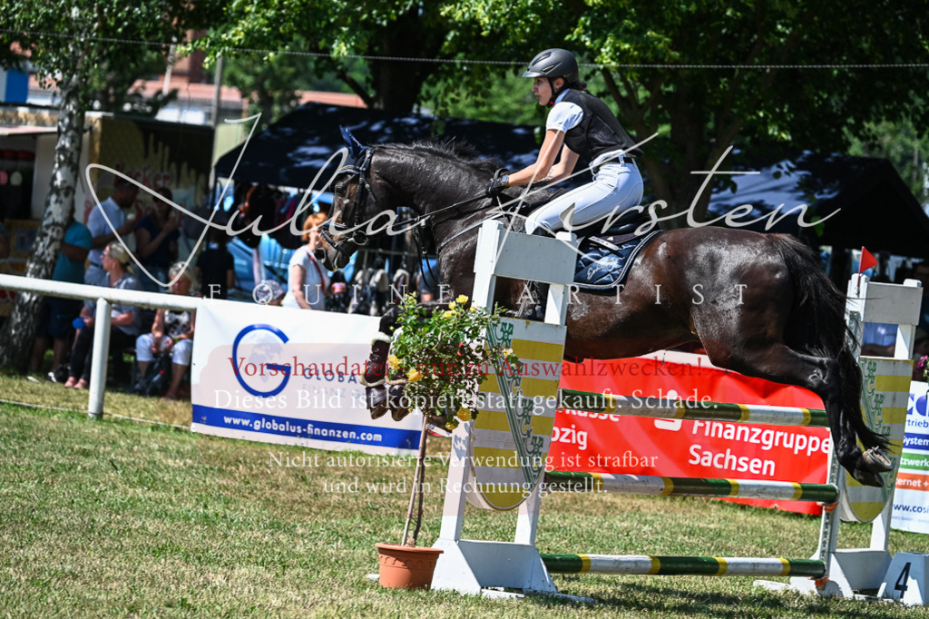 DSC_1115 | Pferde- und Turnierfotografie in Westsachsen. Pferdeportraits, Auftragszeichnungen und intuitive Kunst.