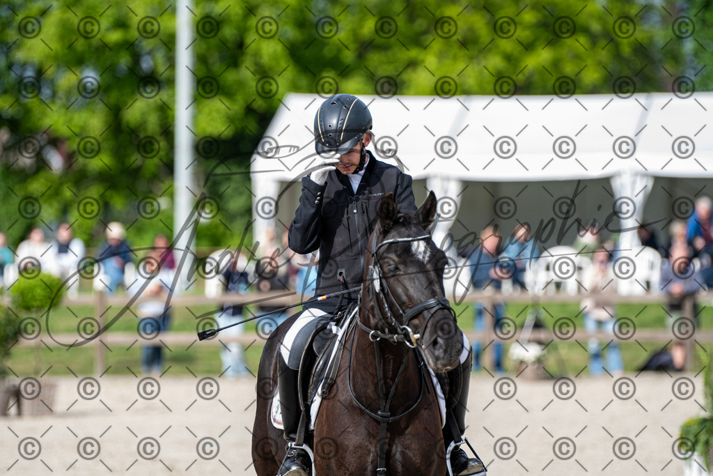 KPT_6620 | andre_photographic