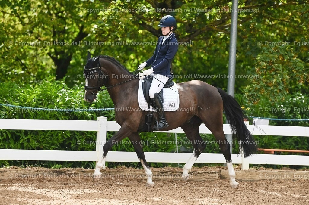 20230715_07_Dressurpferdeprfg. Kl.L_0004 | equistock