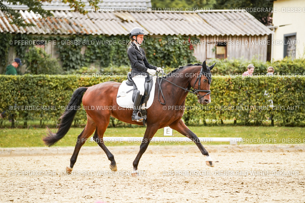 DSC02347 | Pferdegrafie