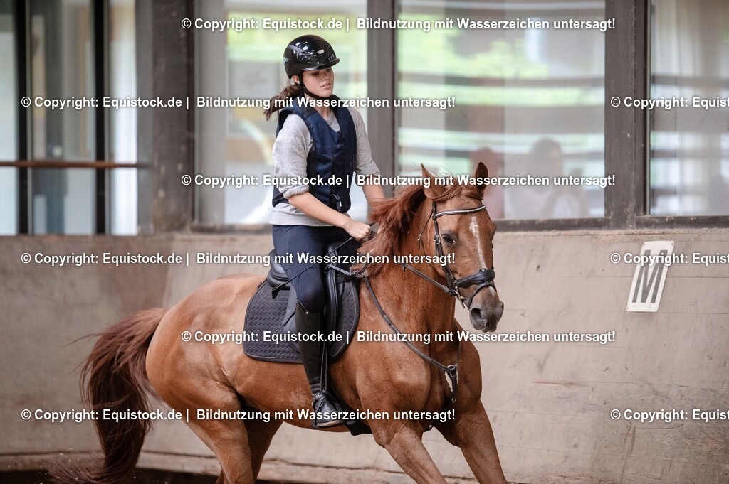 20250725_Vielseitigkeitslehrgang-Marbach_0240 | Foto: Thomas Hartig