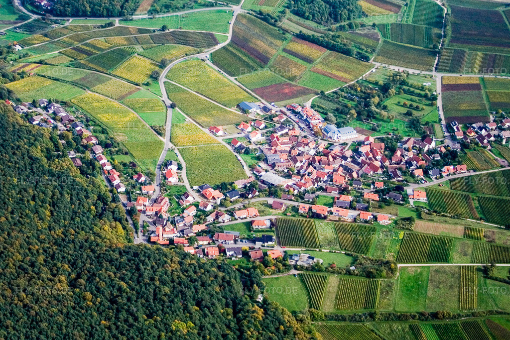 Luftbild: Gleiszellen-Gleishohrbach im Ortsteil Gleiszellen in Gleiszellen-Gleishorbach im Bundesland Rheinland-Pfalz in Deutschland. Foto: IMG_4430.jpg vom 22.10.2006 durch Werner Riehm/FLY-FOTO.de