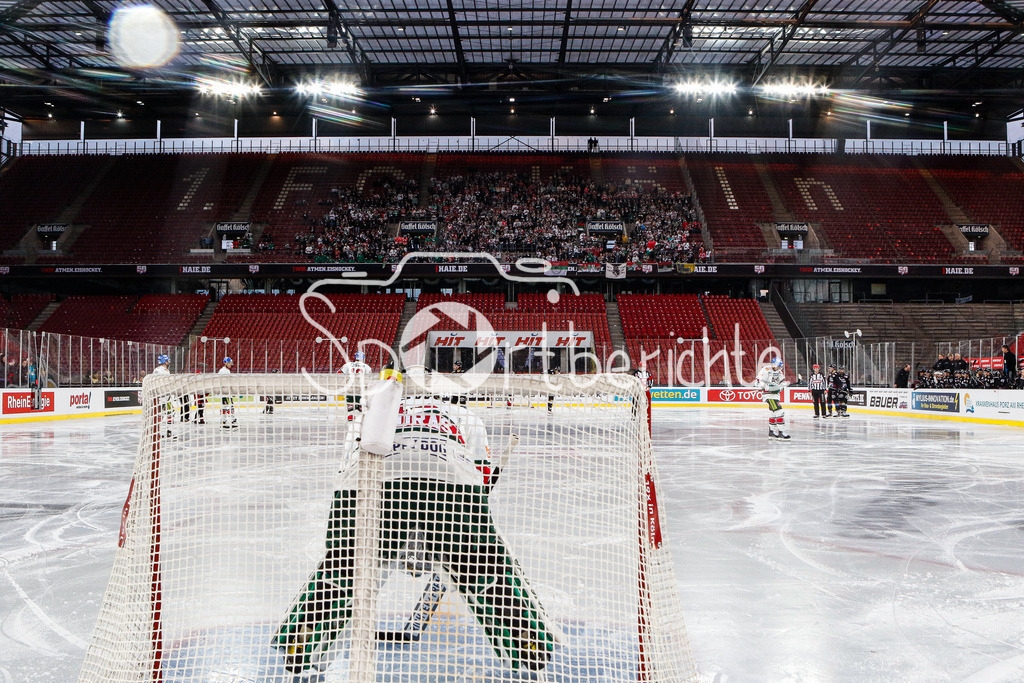 Kölner Haie - Augsburger Panther | Dennis ENDRAS (AEV #44) im Tor der Panther / im Hintergrund die mitgereisten Fans aus Augsburg