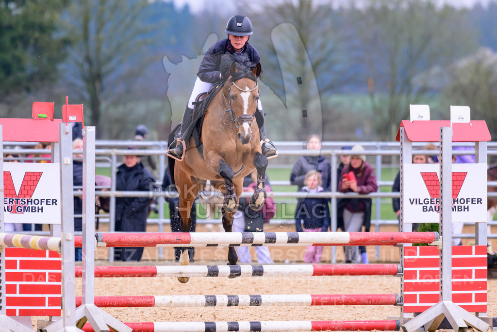 10042026-Mammendorf-Prfg16-0446 | Fokus Hufschlag Fotografie - Realisiert mit Pictrs.com