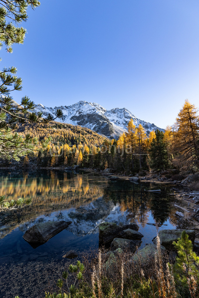 JB3A5209 | antonija-trupina - Realisiert mit Pictrs.com