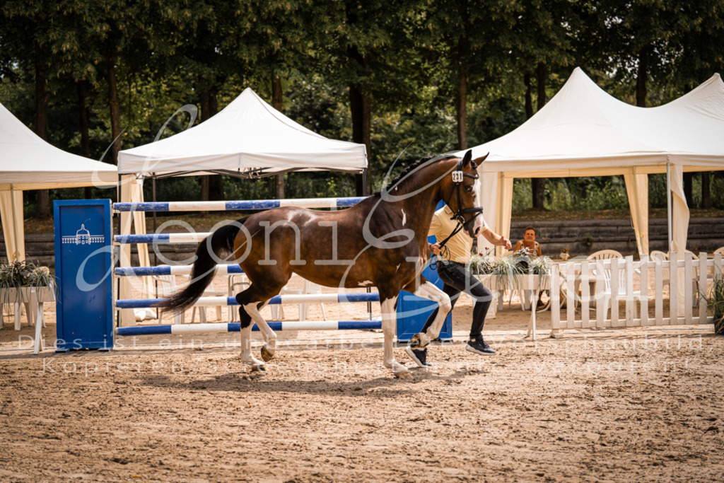 2. Fr00172 | Leoni Ertmer Photography - Realisiert mit Pictrs.com