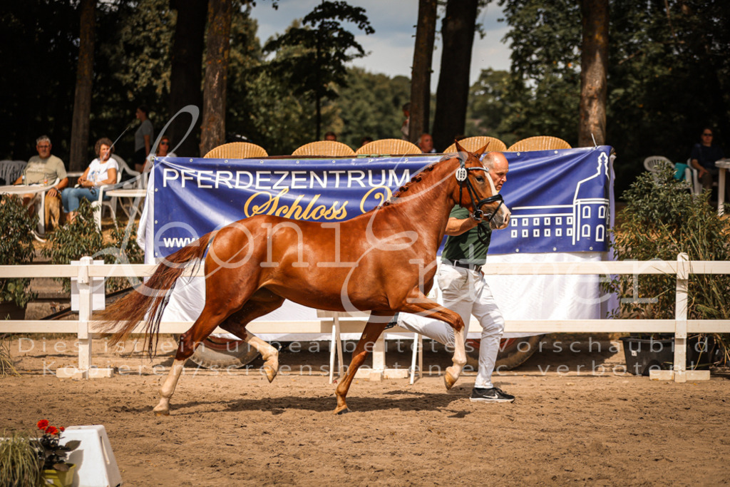 11.So00068 | Leoni Ertmer Photography - Realisiert mit Pictrs.com