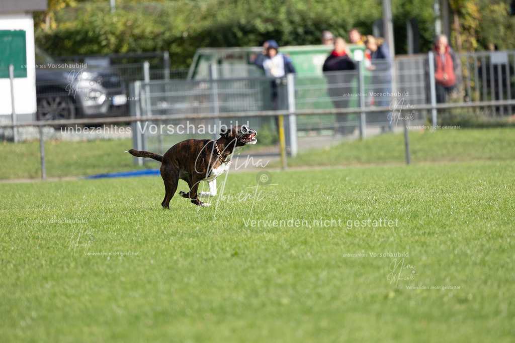 _16A6879 | Einzigartige Fotos von Hunden & Menschen –Actionfotos, Portraits, Vereinsaufnahmen & Paarshootings – authentisch, lebendig & mit Herz.