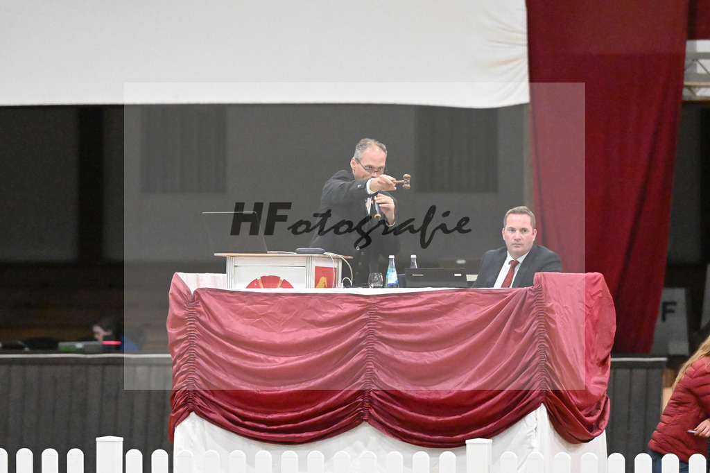 Fohlenauktion Next Chance_49220518 | hf-fotografie - Realisiert mit Pictrs.com