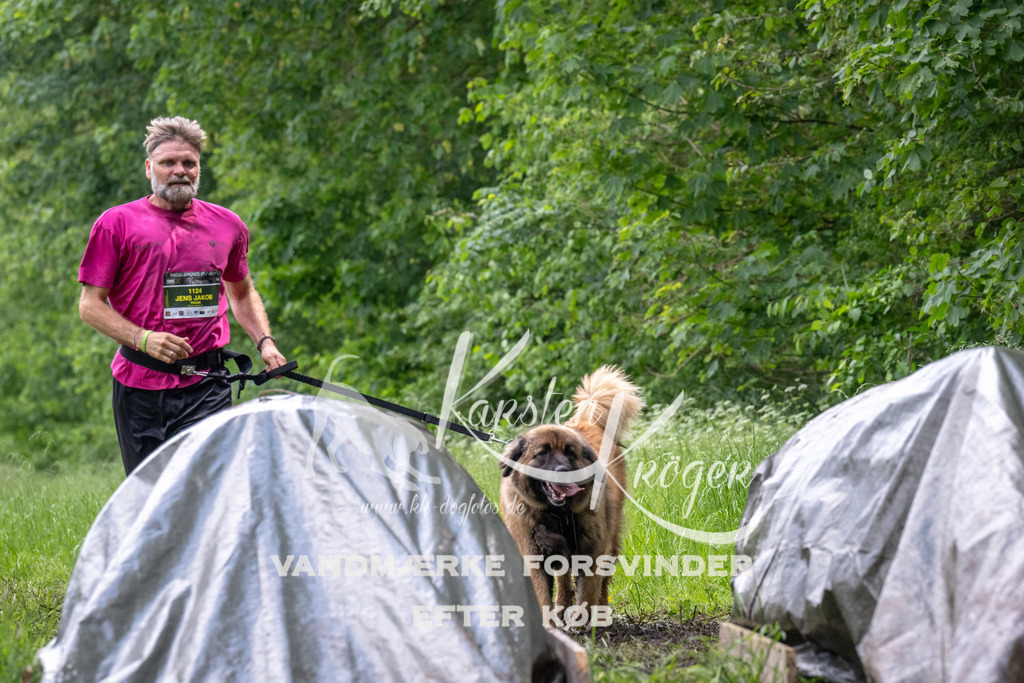 1247_ZZ93490 | kk-dogfotos
