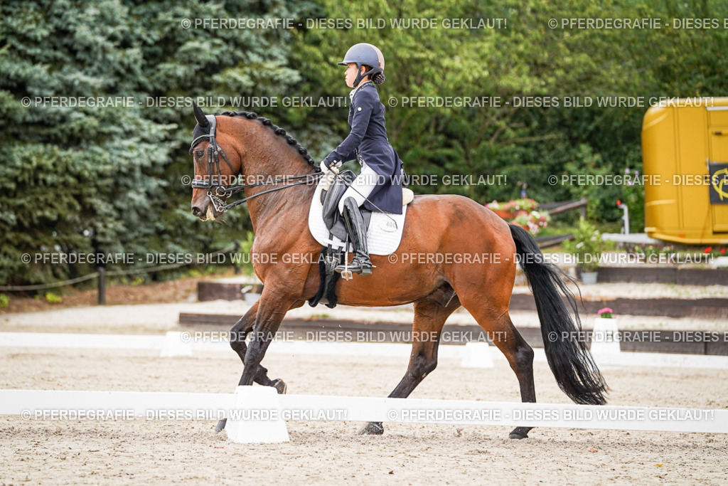 DSC05435 | Pferdegrafie