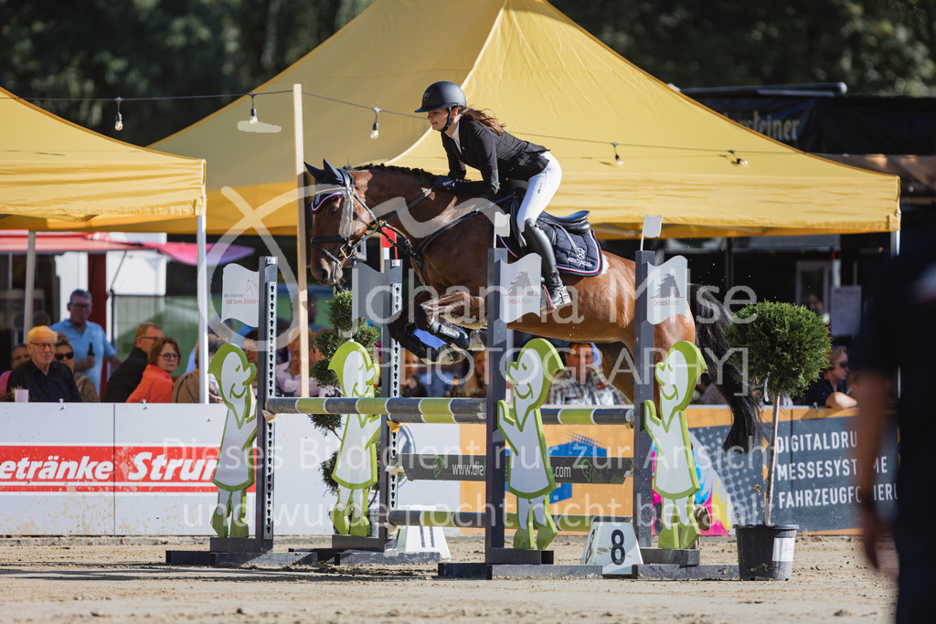 220828_Delbrueck_A2-Spr-234 | Deine schönsten Turniermomente als professionelle Fotos! Entdecke hochwertige Pferdesport-Fotografie im Online-Shop. Jetzt Fotos finden & bestellen!